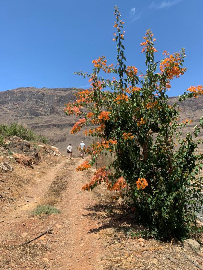 Hotel Masai Mara Resort Gran Canaria San Bartolomé Kültér fotó